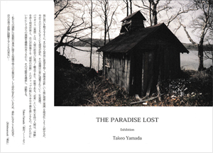 TAKEO YAMADAuTHE PARADISE LOSTvDM