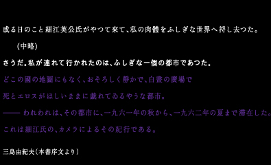 THE LUNATIC 鋳薔薇 ※INSANITY DVD SERIES - Mak Japan